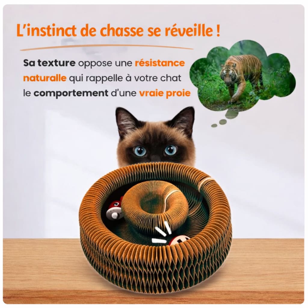 MiaouwSpin™ | Griffoir interactif pour chats