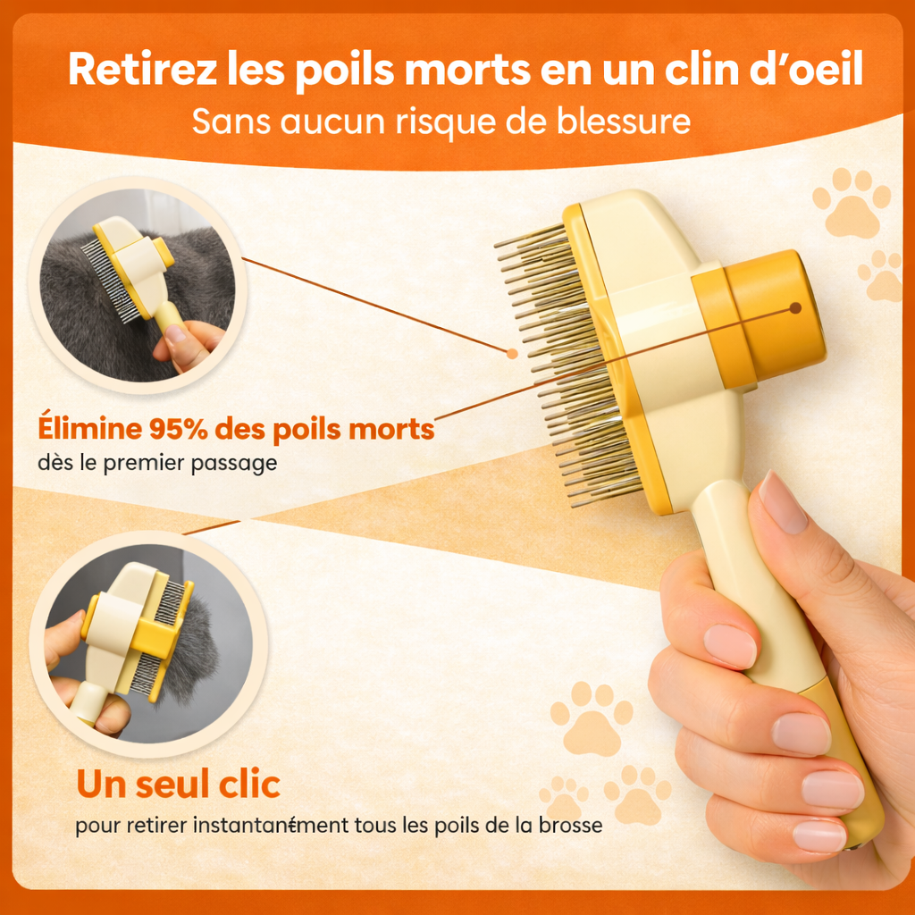 MiaouwBrush™ - La Brosse de Toilettage Professionnelle